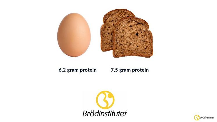 proteinjämförelse