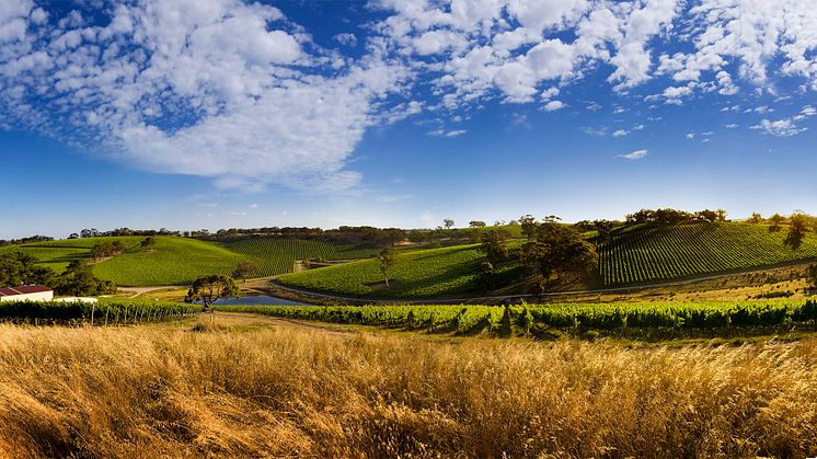 Longview Nebbiolo Rosato återigen i tillfälligt sortiment