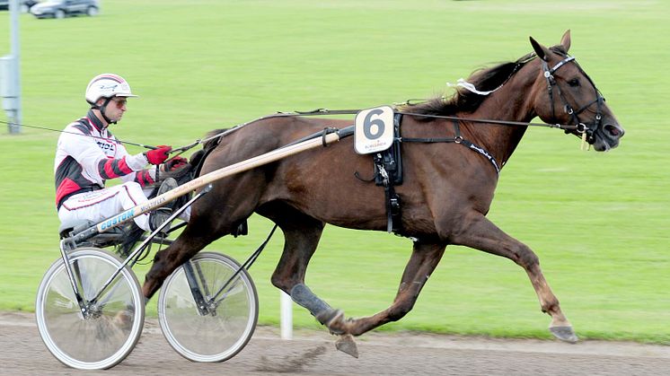 Svenska Derbytoppar i Copenhagen Cup