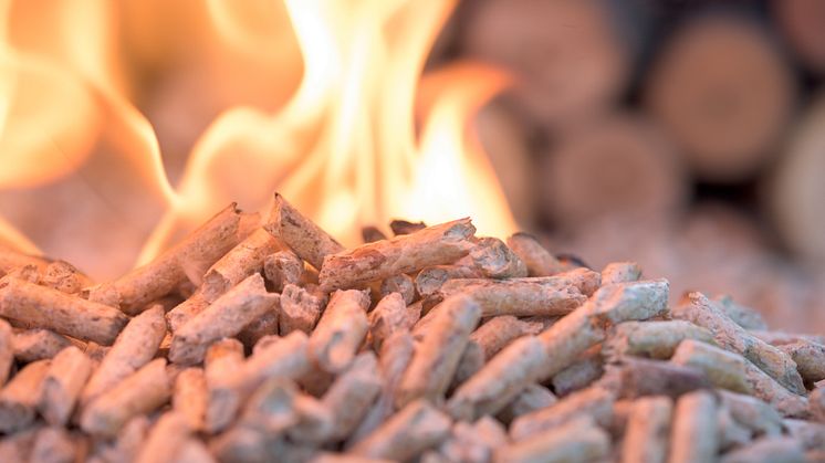 Biomasse importeret fra USA er problematisk, men alligevel afbrænder Aarhus amerikanske træpiller af for energi.