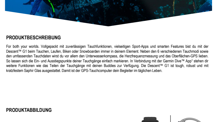 Datenblatt Garmin CH Descent-G1_FH