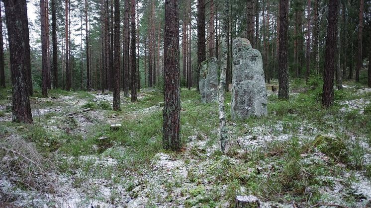 Nu får fler tillgång till kulturmiljön vid Björkemosse