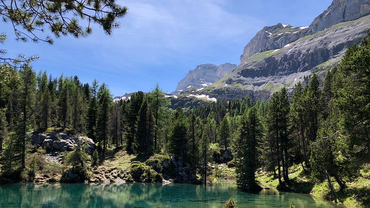 Arvenseeli in Kandersteg II 