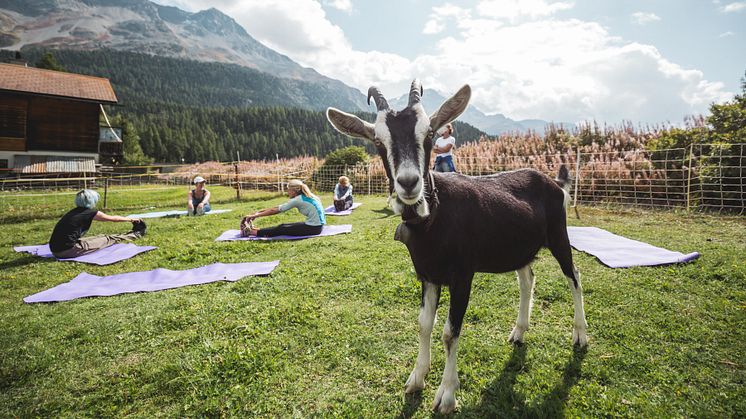 Geißenyoga, Engadin ©ESTM