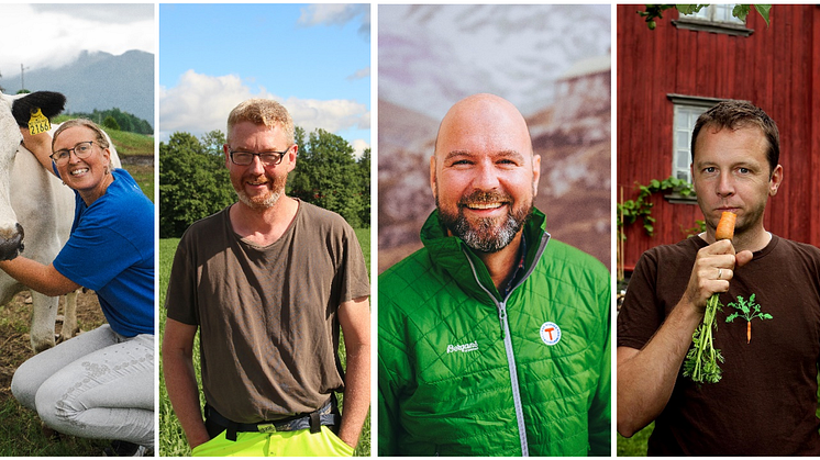 Den norske juryen: Kristin Waagen, Bjørn Gimming, Dag Terje Klarp Solvang og Andreas Viestad. Foto: Eline Karlsdatter/Marius Dalseg/Geitmyra