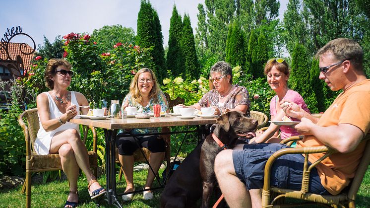 Kuchen essen im Hofcafé