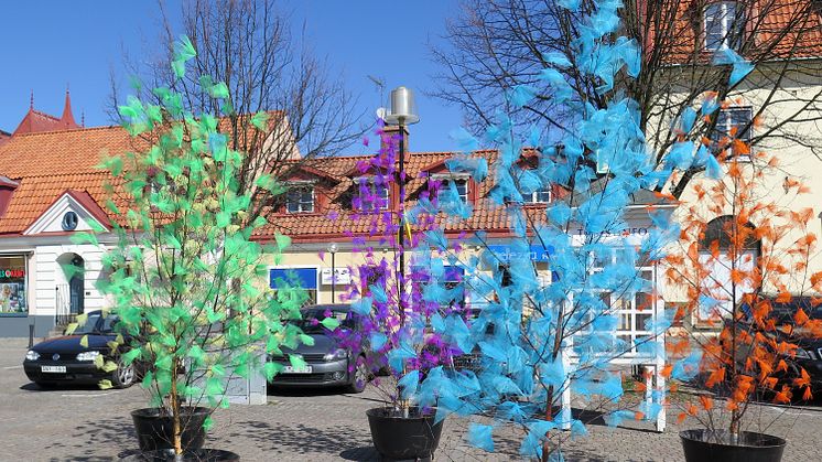 De traditionsenliga påskträden på Stortorget i Sölvesborg med dekorationer i tyll, för högupplösta pressbilder se länk nedan.