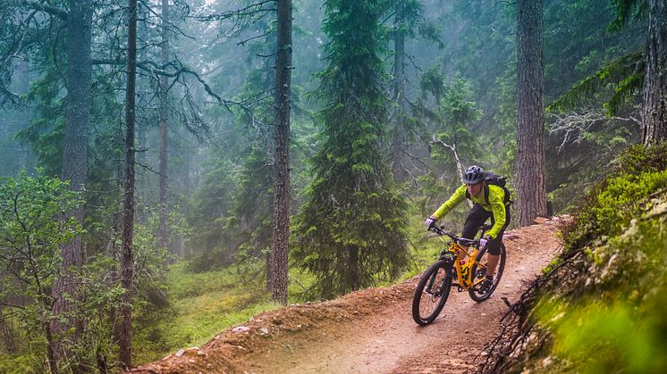 Biking Dalarna: Idre Fjäll