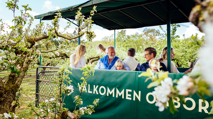 Åk med på en Äppelblomssafari på Kiviks Musteri.