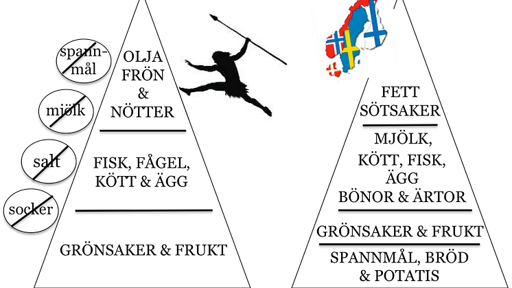 Kostpyramid för paleolitisk kost respektive kost enligt de nordiska näringsrekommendationerna. Illustration: Caroline Blomquist. Fri för publicering.
