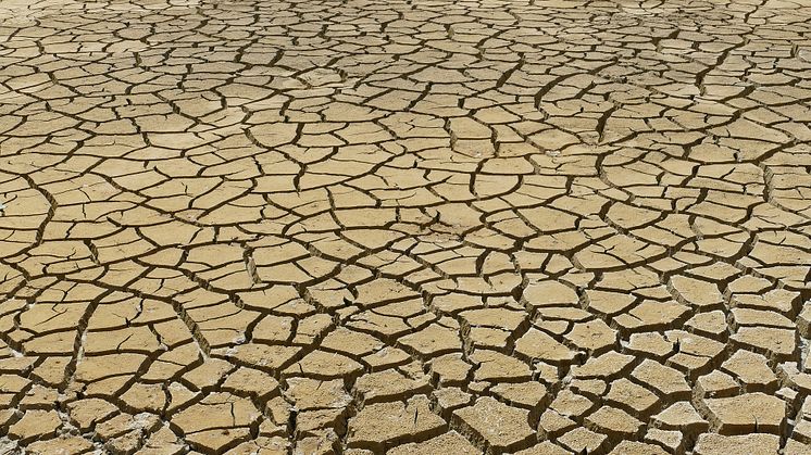 Klimatförändringar hotar människors psykiska hälsa. Foto: Pixabay. CC0