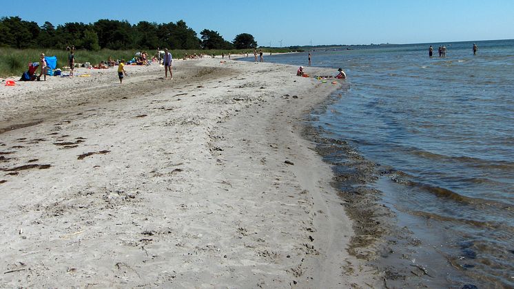 Nya planen för att rädda Östersjön är bra – men kraven på Sveriges insats är felberäknad!