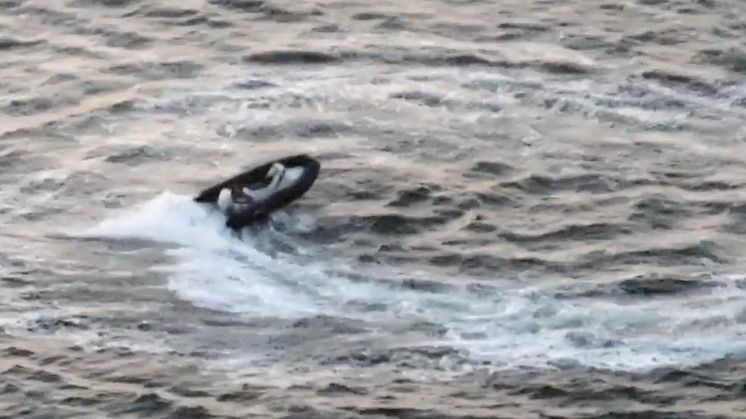Frivilliga sjöräddare från RS Barsebäckshamn kom till undsättning när två personer föll ur sin båt och riskerade att bli påkörda.
