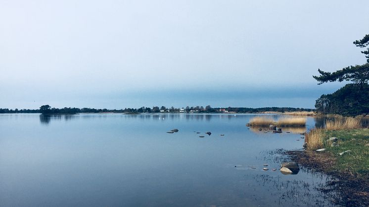 Strandnära bebyggelse