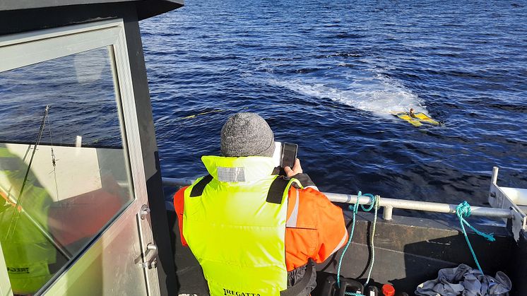 ROV utsatt fra feltbåten MS Louise