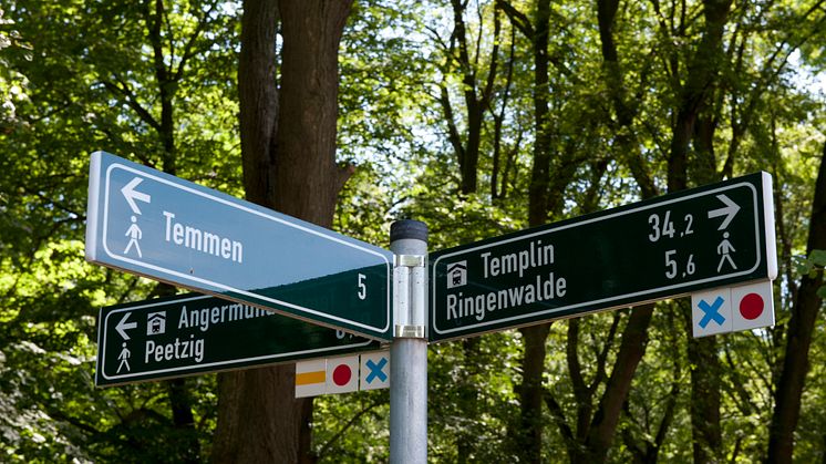 Der Märkische Landweg führt einmal quer durch die Uckermark bis an die Oder. Foto: Klaus-Peter Kappest. 