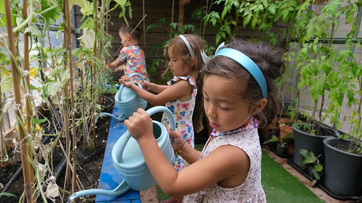 Barna i Strekkoden barnehage vanner plantene i det nye drivhuset. Foto: Ric Francis