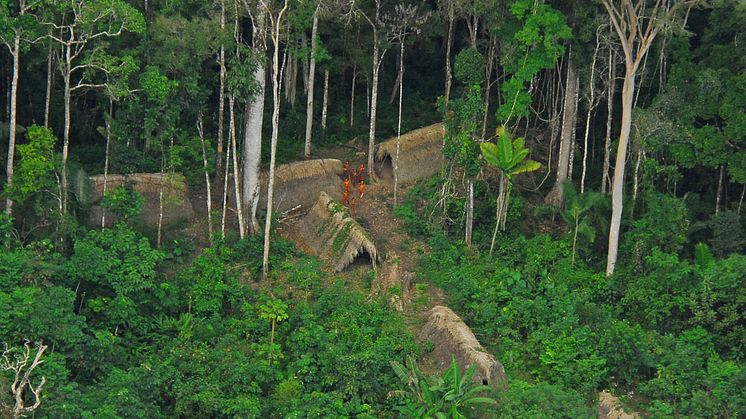 Et lille  isoleret folk i den sydvestlige del af regnskoven i delstaten Amazonas. Kontakt med omverdenen kan være farlig. 
