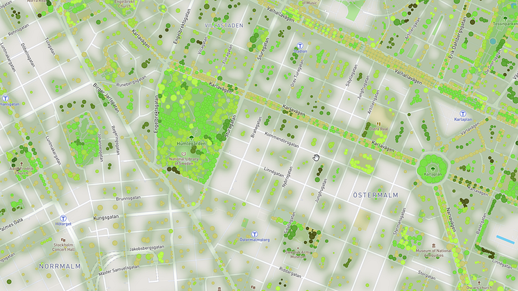 Geografiska Informationsbyrån bjuder in till ett webbinarium om appen Stadsträd.se (bild: ett exempel från Stadsträd).