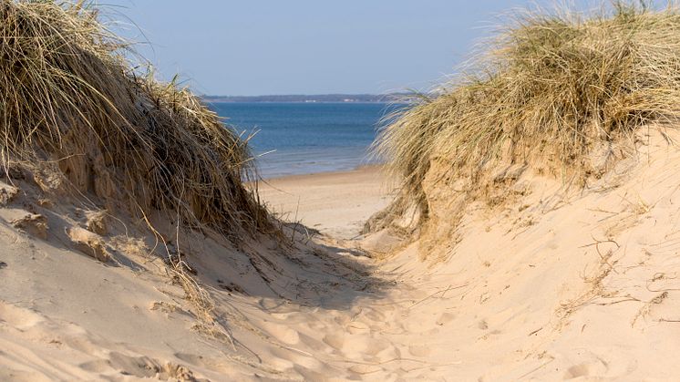 Ta vägen till 45 km strand i Halmstad. Foto: Destination Halmstad