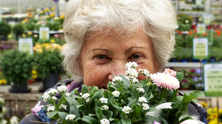 Blodprovstest kan upptäcka Alzheimers sjukdom tidigt. Foto: Pixabay. CC0