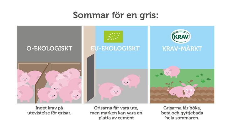 KRAV: Låt fler djur vara utomhus