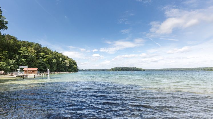 Glasklares Wasser bietet der Stechlinsee. Foto: TMB-Fotoarchiv/Steffen Lehmann.