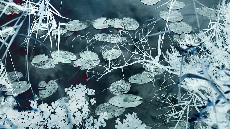 Santeri Tuori: Water Lilies #9, 2020, pigmenttivedos. Yksityiskohta teoksesta.