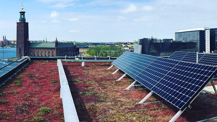 Solceller på Klaraportens tak.  Foto: Solkompaniet