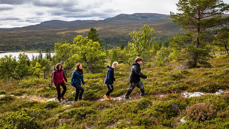 ​Hela Sverige samlas i ett nationellt ramverk för vandringsturismleder