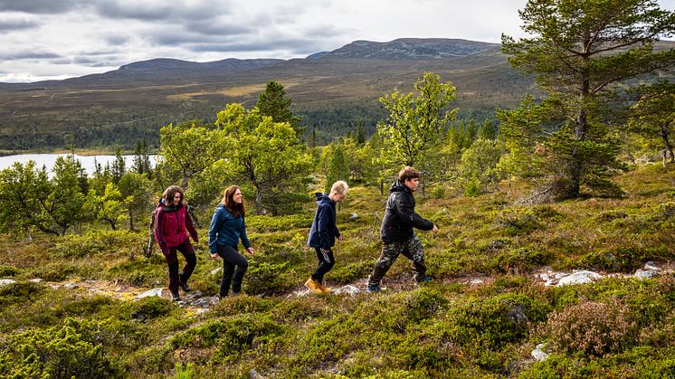 Vandra i Dalarna