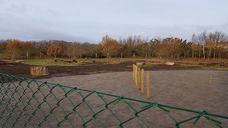 Ny hundrastgård i Kalmarsundsparken