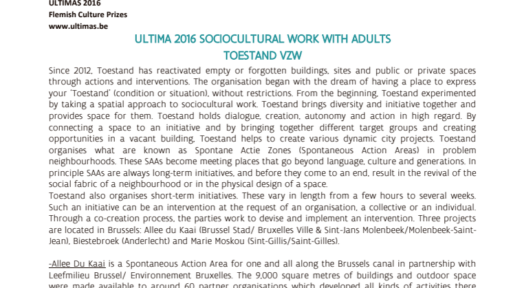 background document Ultima 2016 sociocultural work with adults