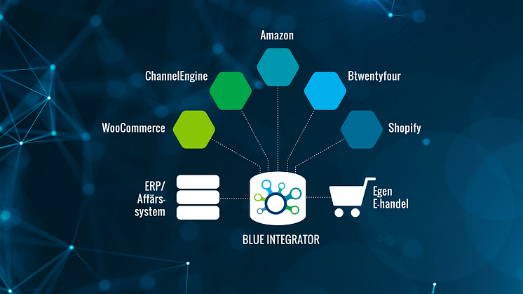 Blue Integrator, illustration digitala marknadsplatser.png