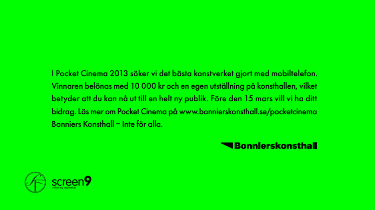 POCKET CINEMA 2013