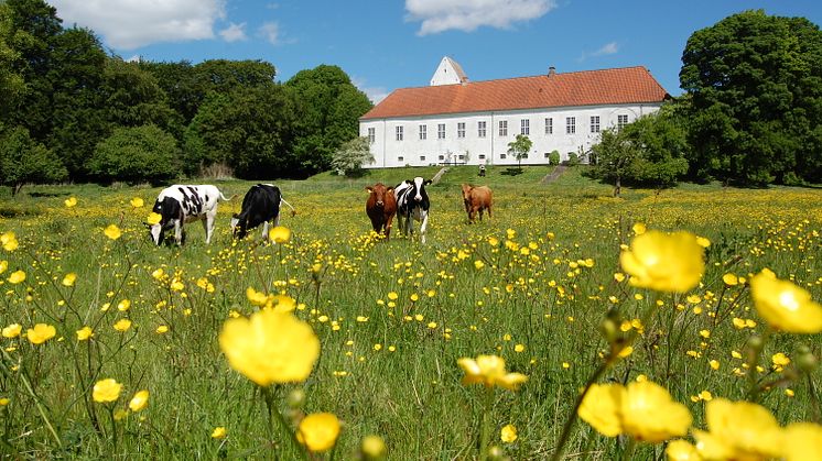 Genåbning af Ørslev Kloster efter stor donation fra fonde