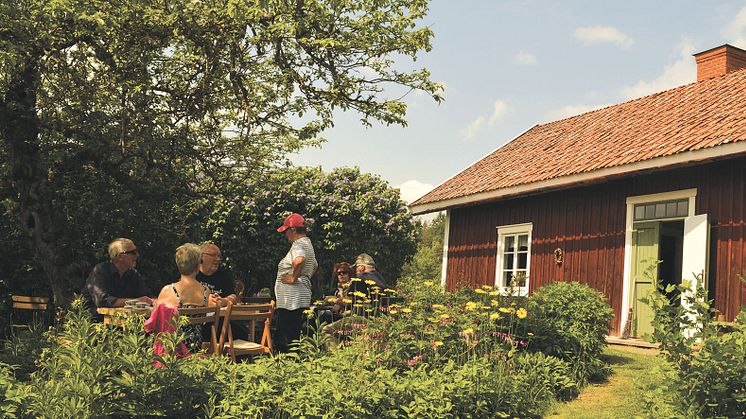 Skön stund under Långmarens äppelträd. 