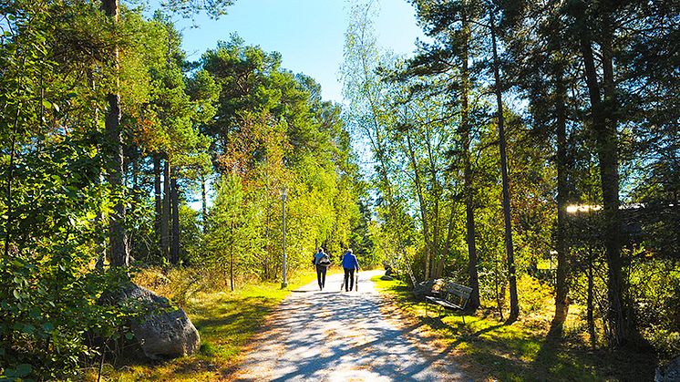 Hjälp äldre komma ut i naturen!