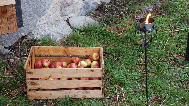 Boende på Tärnan har skapat en äppeltavla