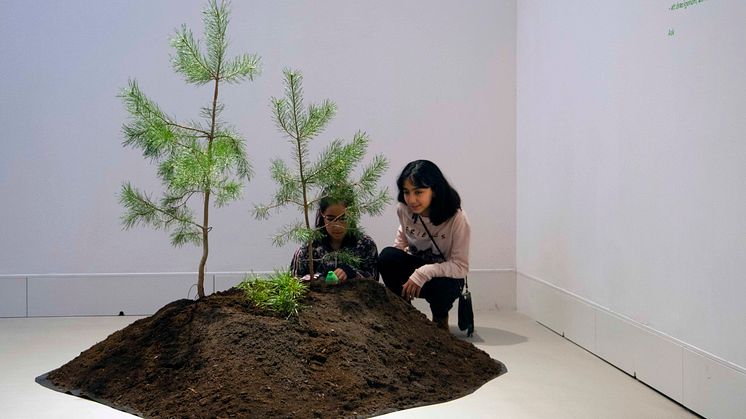 Jangal flyttar skogens lekar in i konsthallen