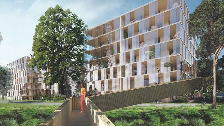 Kv Kängurun: Ett språng in i framtiden