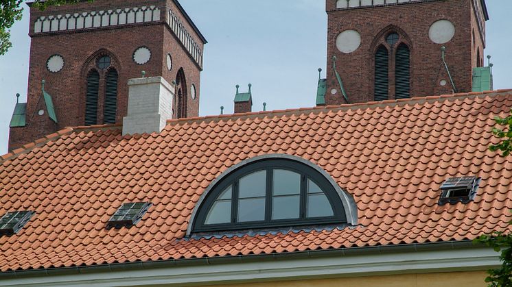 I skyggen af Roskilde Domkirke