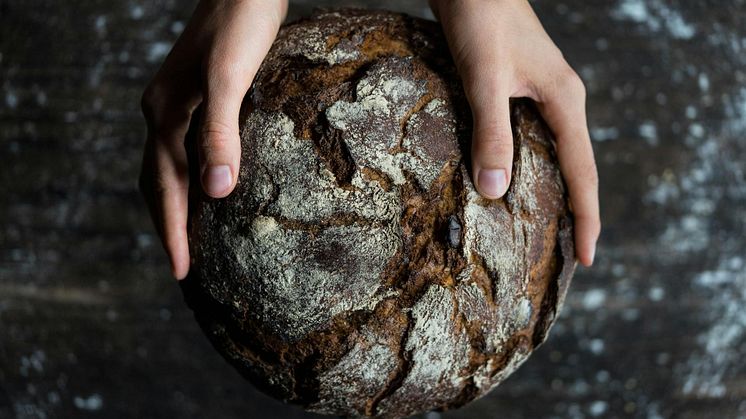 Glutenfrit brød kan give mere energi i hverdagen - prøv varianterne fra Løvegården
