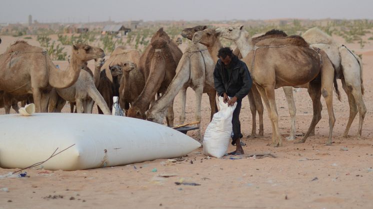 PMU bistår lokalbefolkning och flyktingar i torkdrabbade Mauretanien