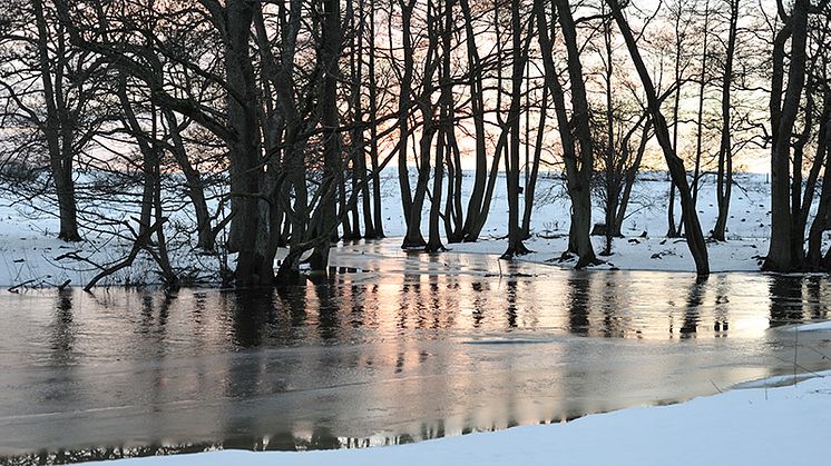 Tyréns rapporterar klimatförändringarnas effekter i Norrbotten 