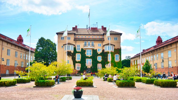 ​Högskolans studenter matchar Kristianstads mångfald