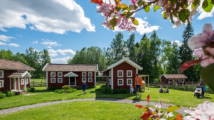 En lekfull sommar väntar på Barnens Stenegård i Järvsö