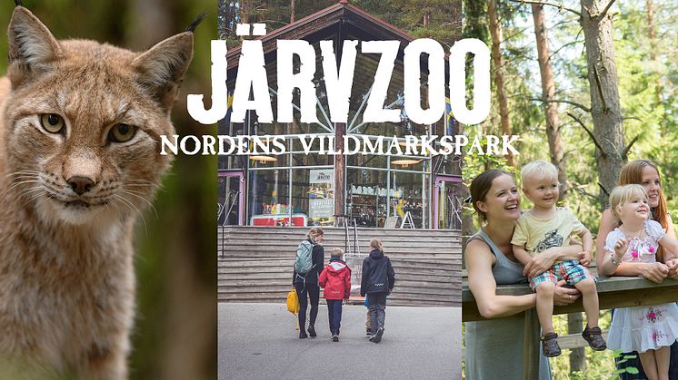 Järvzoo – Nordens Vildmarkspark fyller 30 år och firar med kalas i parken och budskapet om att värna om vår biologiska mångfald.