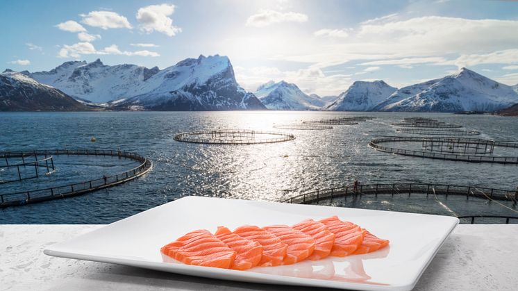 Norwegian seafood exports worth NOK 6.7 billion in May 