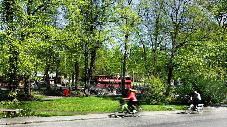 SCB har kartlagt andelen grönyta i alla tätorter, för varje län och för varje kommun. Foto: Kjell-Arne Larsson